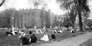 Dandelion Day Dandelion Day